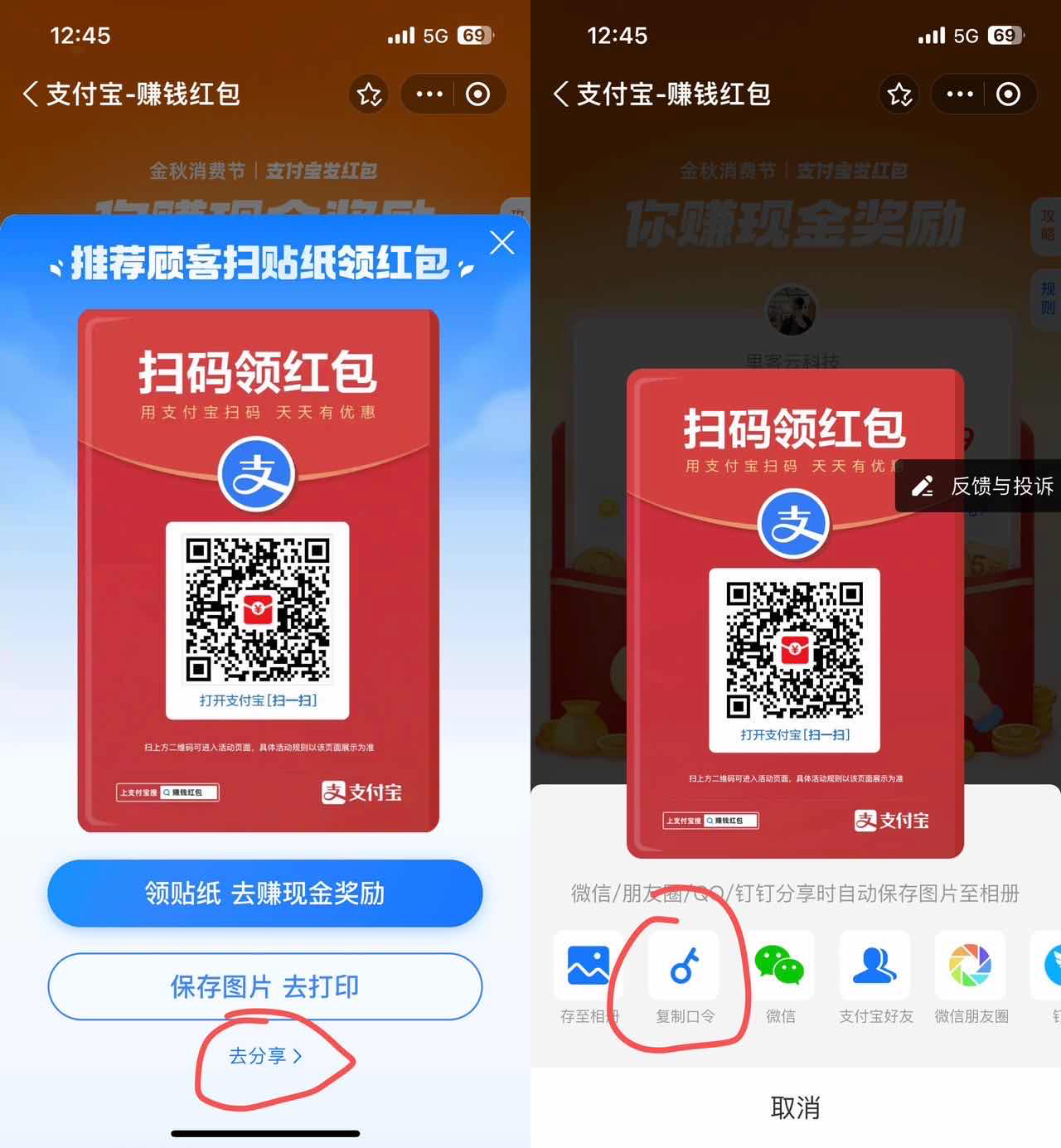 支付宝自动领取赏金 免复制口令网站源码