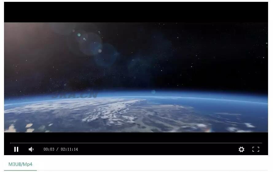 Mine Video Player – 视频播放器WordPress插件