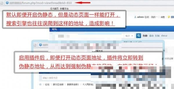 Discuz强制伪静态地址seoV5.3插件